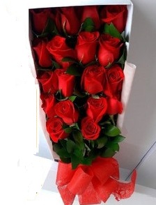 Envio y venta de flores ,rosas, plantas,arreglos florales ,regalos y desayunos a domicilio con delivery gratis en la Ciudad Autonoma de Buenos Aires y con costo de env�o en localidades del Gran Buenos Aires asi como delivery de flores y plantas a trav�s de florerias asociadas en todas las provincias de la Argentina, Buenos Aires, la Pampa, Tucuman, La Rioja, R�o Negro, Entre Rios, Corrientes, Misiones, Neuquen, Chubut, Tierra del Fuego, Santa Cruz, San Luis, Mendoza, Cordoba, Jujuy, Formosa, Santiago del Estero, Salta, Chaco, Catamarca ,San Juan, y ademas realizamos el delivery de flores ,coronas,palmas , plantas y regalos a todas las ciudades de Argentina, Mar del Plata, C�rdoba, Buenos Aires, con cargo en Santa Rosa, La Plata, Bella Vista, Neuquen, Pilar, Paran�, Posadas, Resistencia, Cipolleti y mas de 300 ciudades y localidades en todo el territorio de nuestro pa�s, asi como tambien tenemos la posibilidad de enviar flores a casi todo el mundo en cuestion de horas